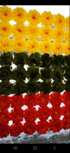 Su Kovo 11-ąja, Lietuvos Nepriklausomybės atkūrimo diena!